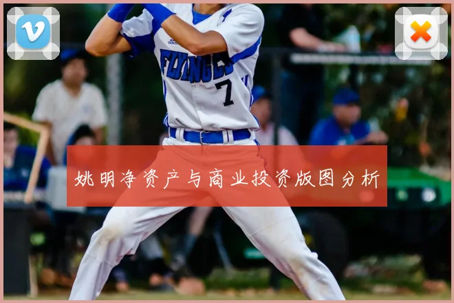 姚明净资产与商业投资版图分析