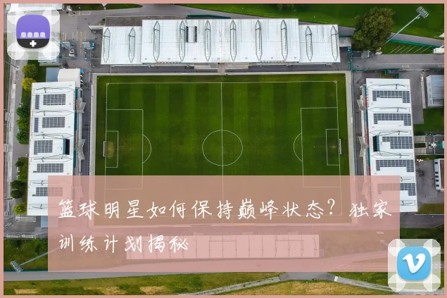 篮球明星如何保持巅峰状态？独家训练计划揭秘
